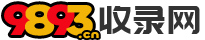9893收录网网站logo图标