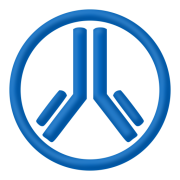 WizFile