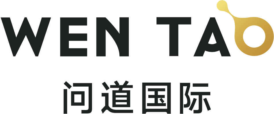 问道出海 | 大湾区制造业品牌出海数字化服务先行者
